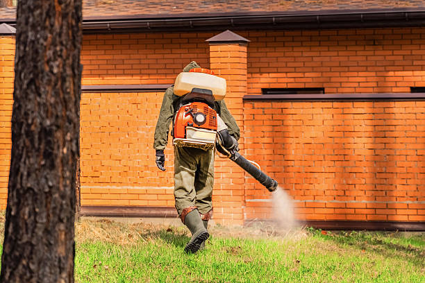 Bed Bug Clearance Verification and Documentation in Newbern